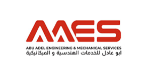 aaes-logo1